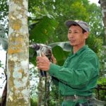 phan biet cac loai tram huong pho bien tu nhien nhan tao chim nuoc 1 |