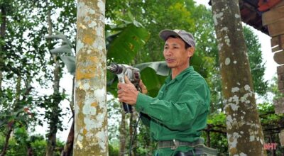 phan biet cac loai tram huong pho bien tu nhien nhan tao chim nuoc 1 |